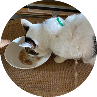 介護・看護シッティング